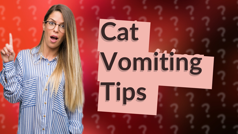Cat Vomiting Tips