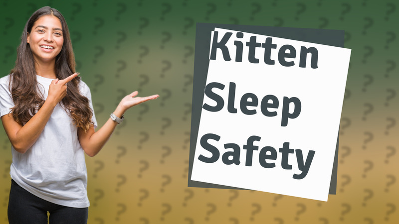 Kitten Sleep Safety