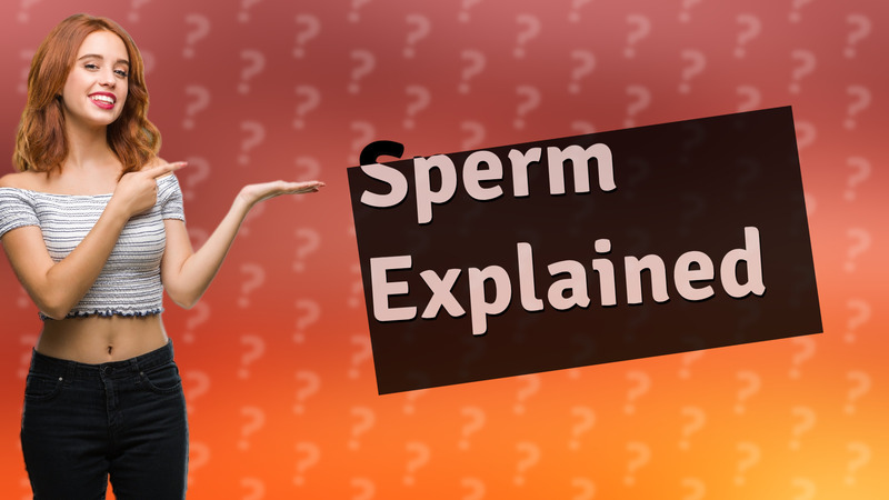 Sperm Explained
