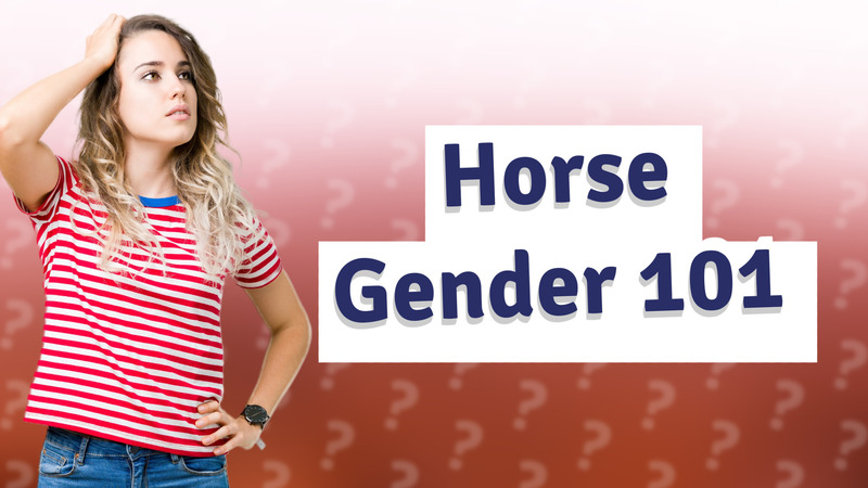 Horse Gender 101