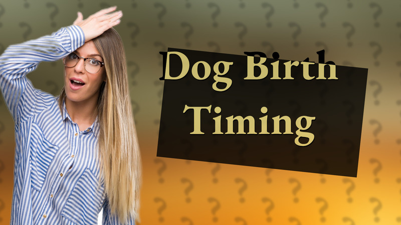 Dog Birth Timing