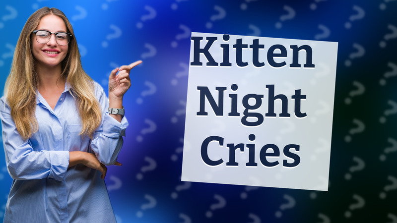 Kitten Night Cries