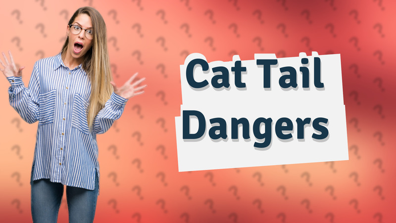 Cat Tail Dangers