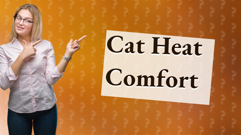Cat Heat Comfort