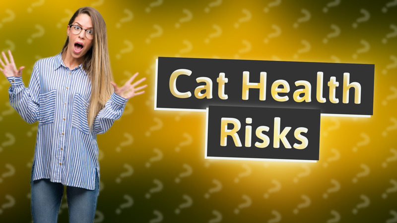 Cat Health Risks
