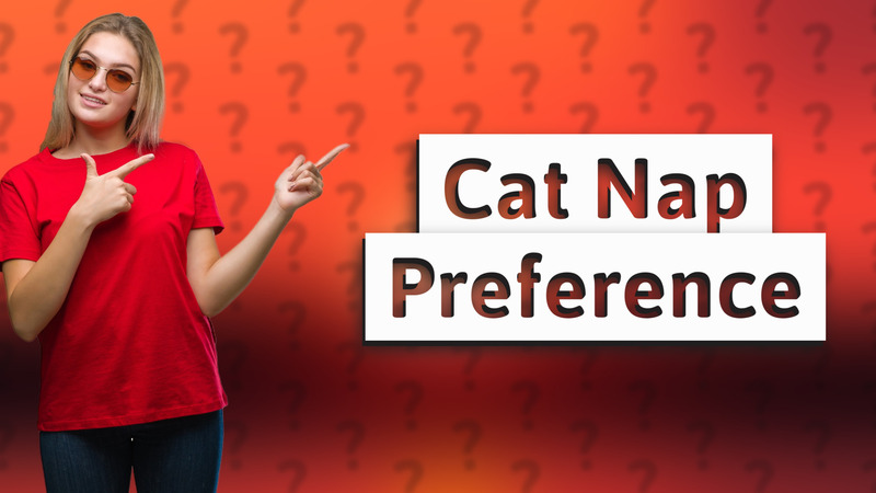 Cat Nap Preference
