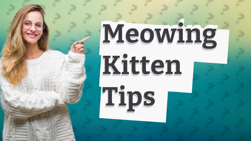 Meowing Kitten Tips