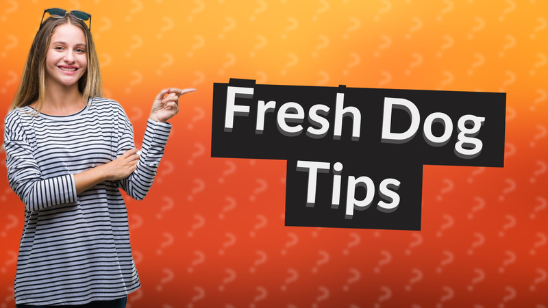 Fresh Dog Tips