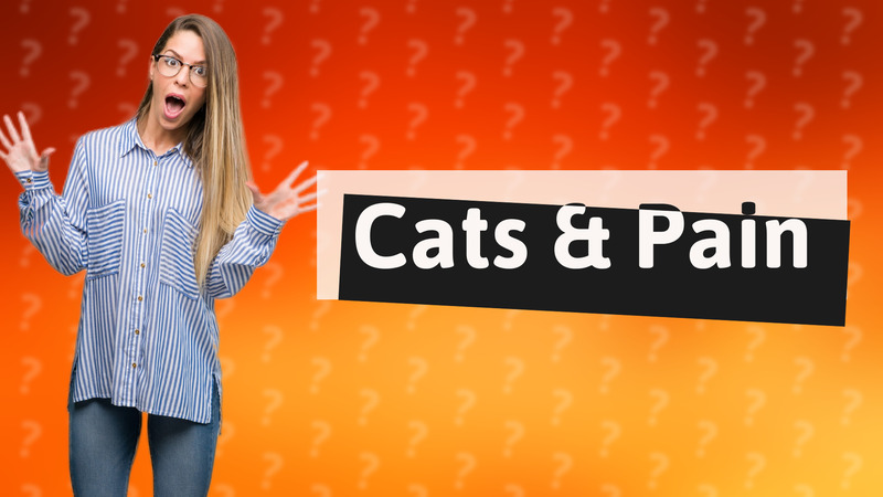 Cats & Pain