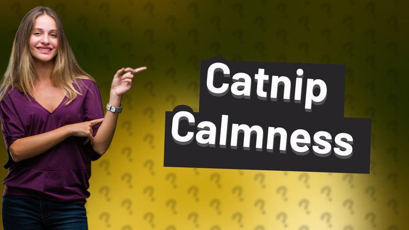 Catnip Calmness