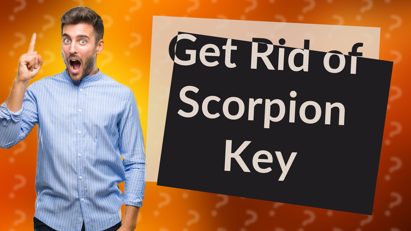 Get Rid of Scorpion Key