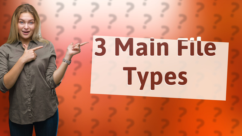 3 Main File Types