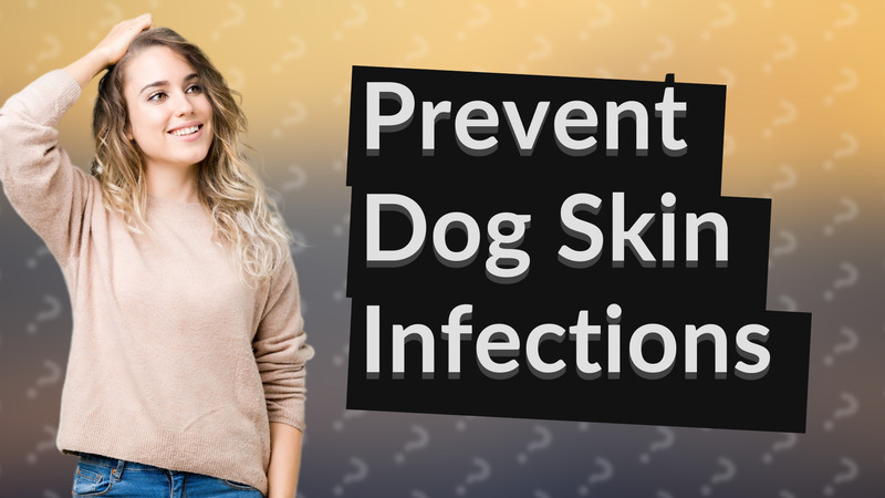 Prevent Dog Skin Infections