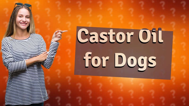 Castor Oil for Dogs