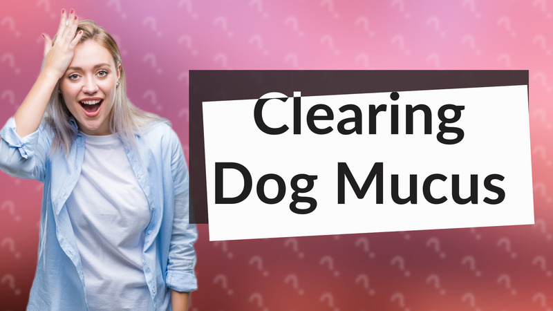 Clearing Dog Mucus