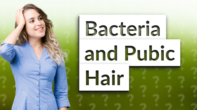 Bacteria and Pubic Hair