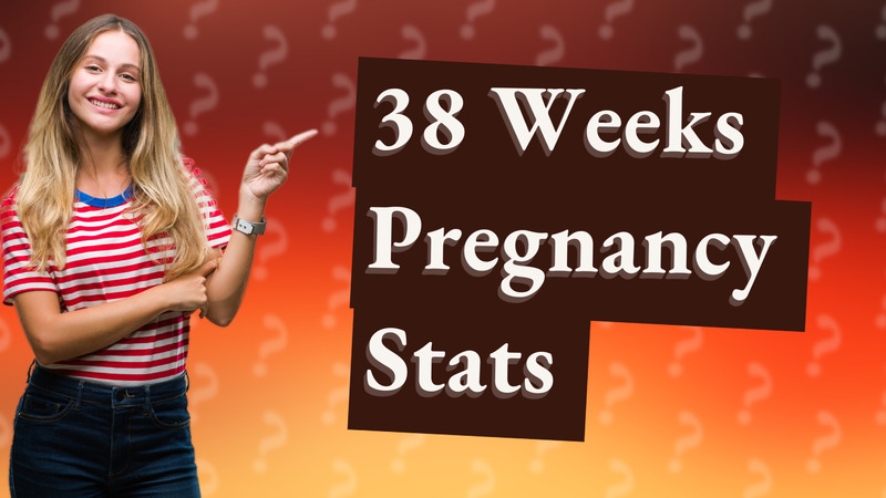38 Weeks Pregnancy Stats