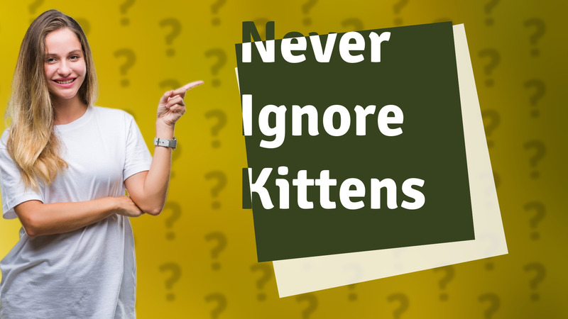 Never Ignore Kittens