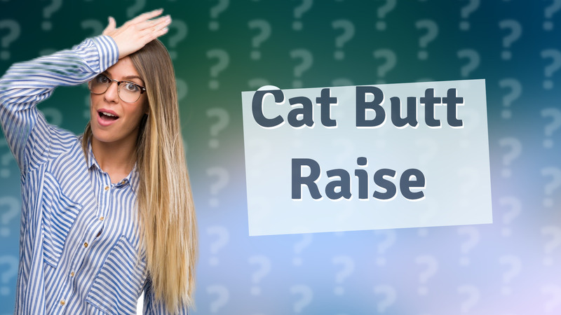 Cat Butt Raise