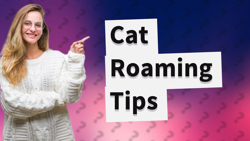 Cat Roaming Tips