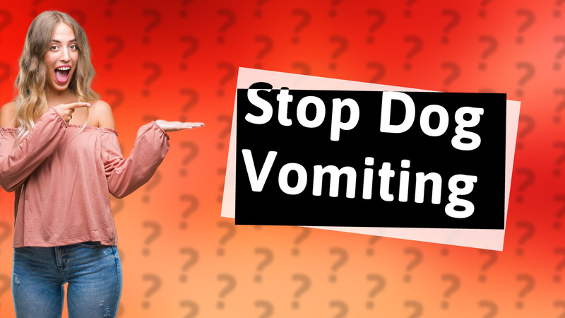 Stop Dog Vomiting