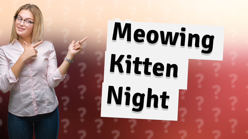 Meowing Kitten Night