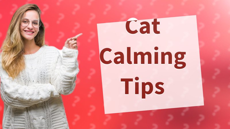 Cat Calming Tips