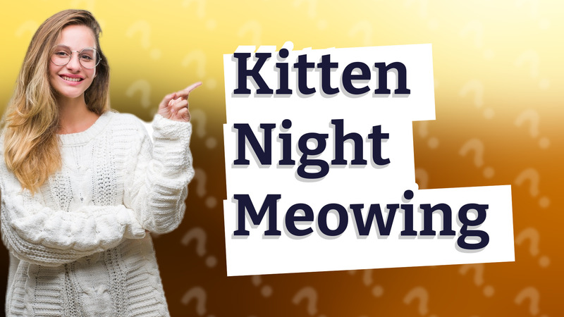 Kitten Night Meowing