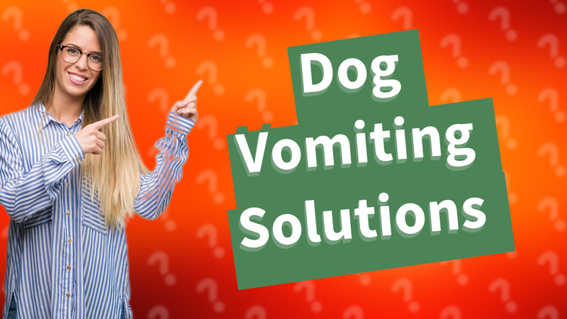 Dog Vomiting Solutions