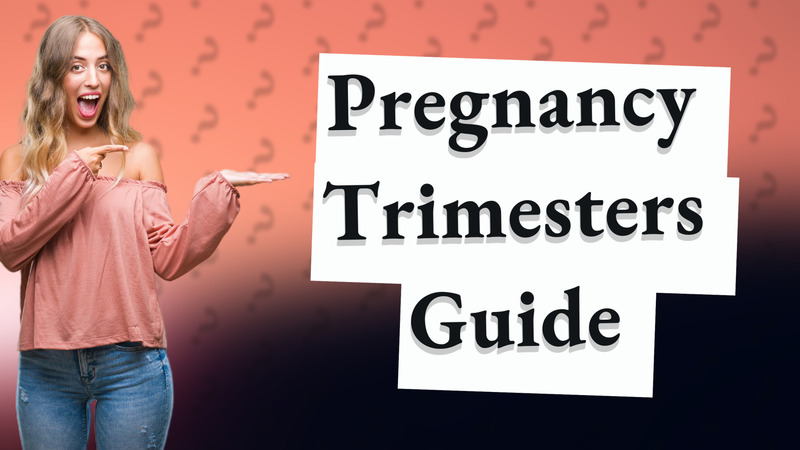 Pregnancy Trimesters Guide
