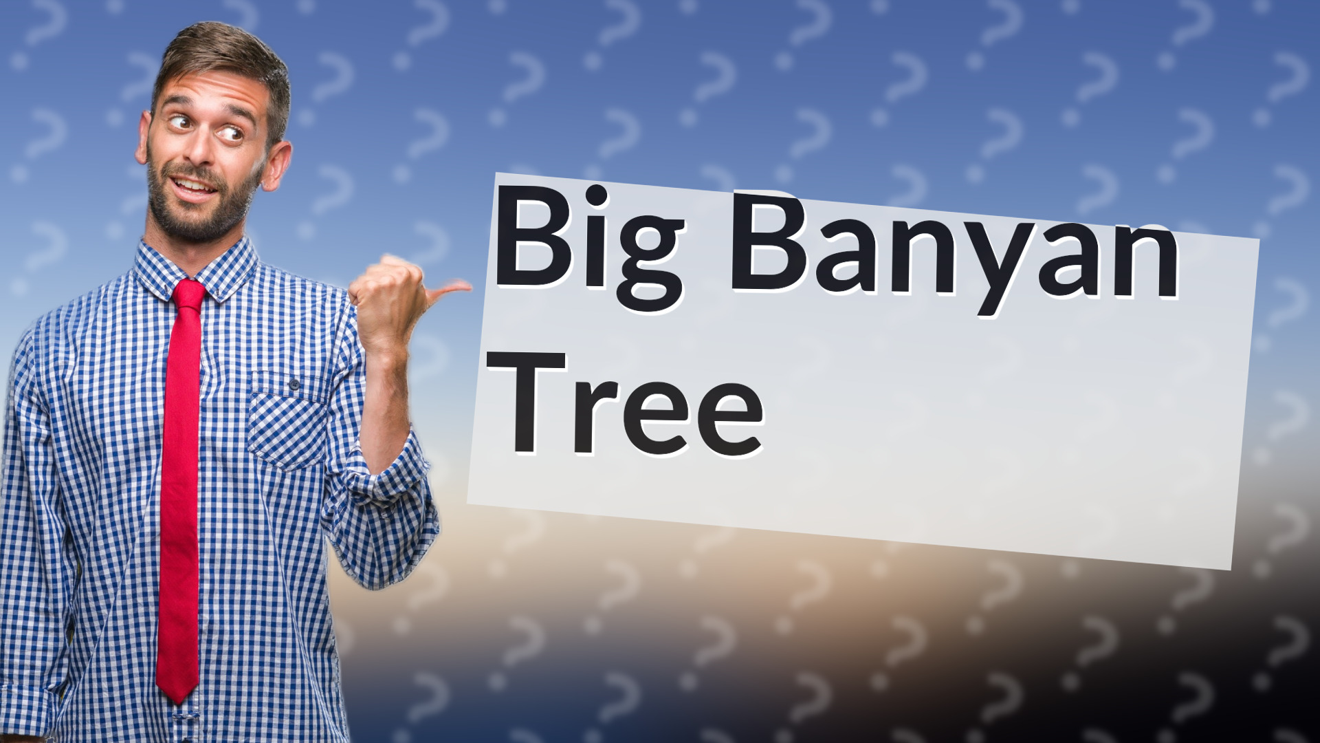 Big Banyan Tree