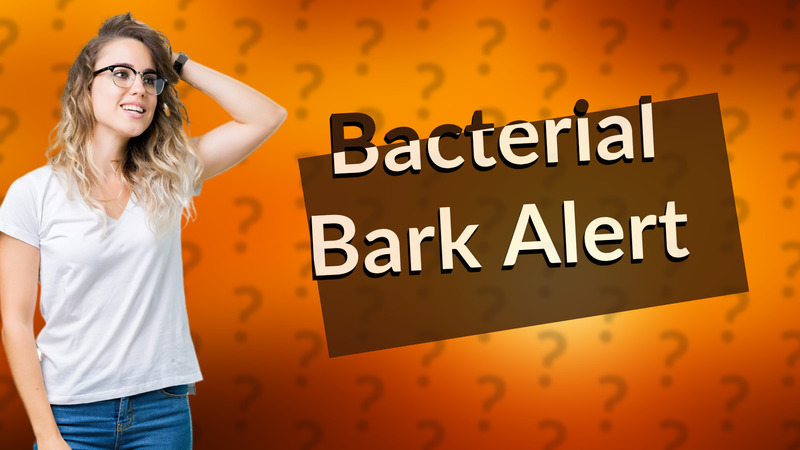 Bacterial Bark Alert