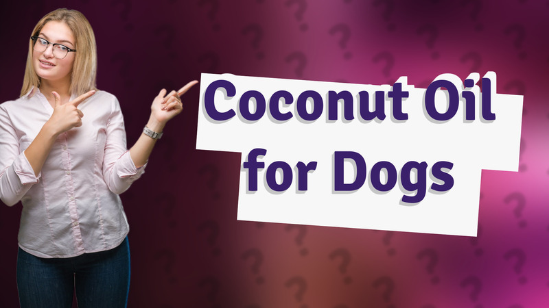 Coconut Oil for Dogs