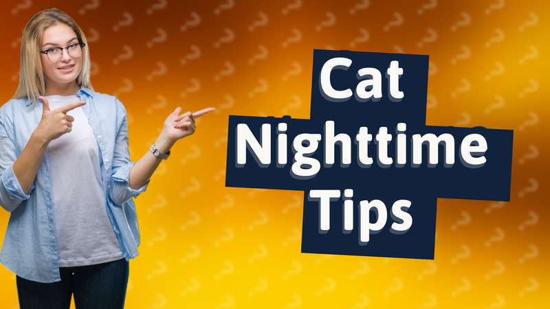 Cat Nighttime Tips