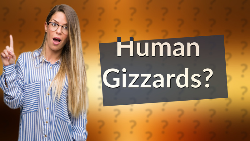 Human Gizzards?