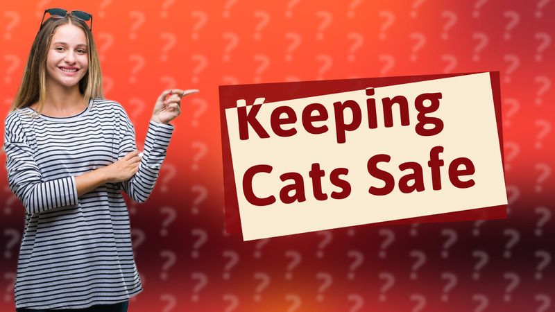 Keeping Cats Safe
