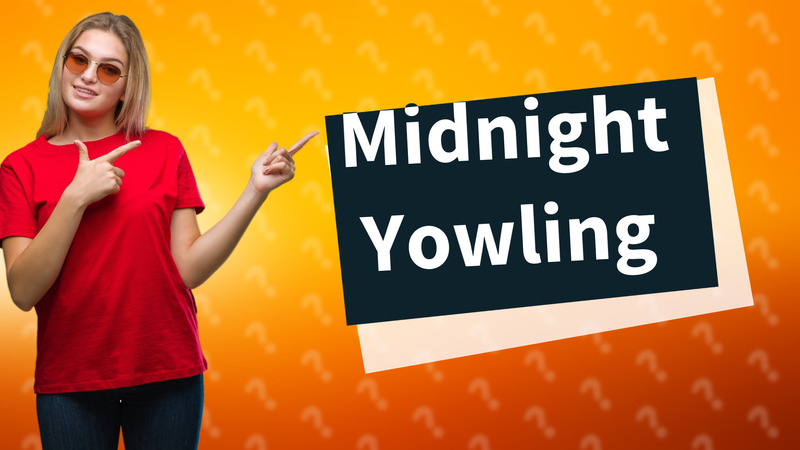 Midnight Yowling