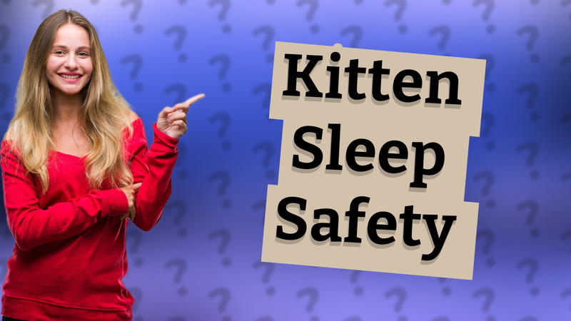 Kitten Sleep Safety