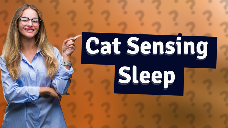 Cat Sensing Sleep
