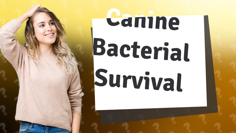 Canine Bacterial Survival
