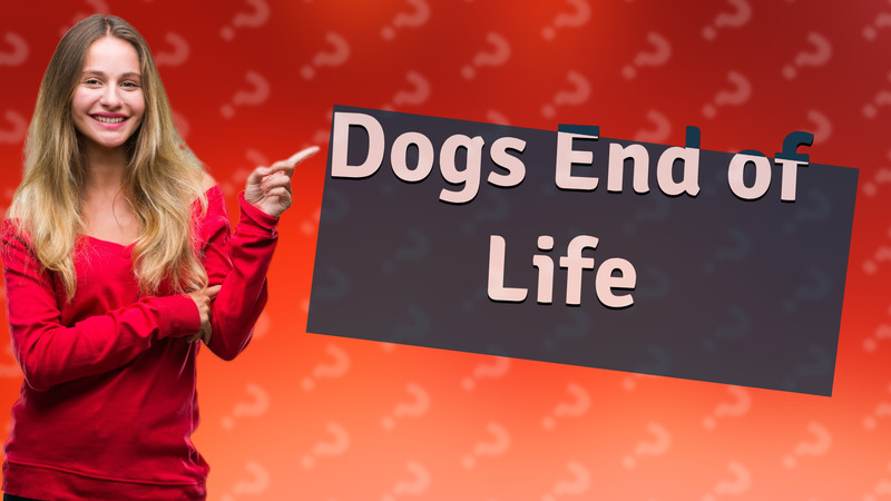Dogs End of Life
