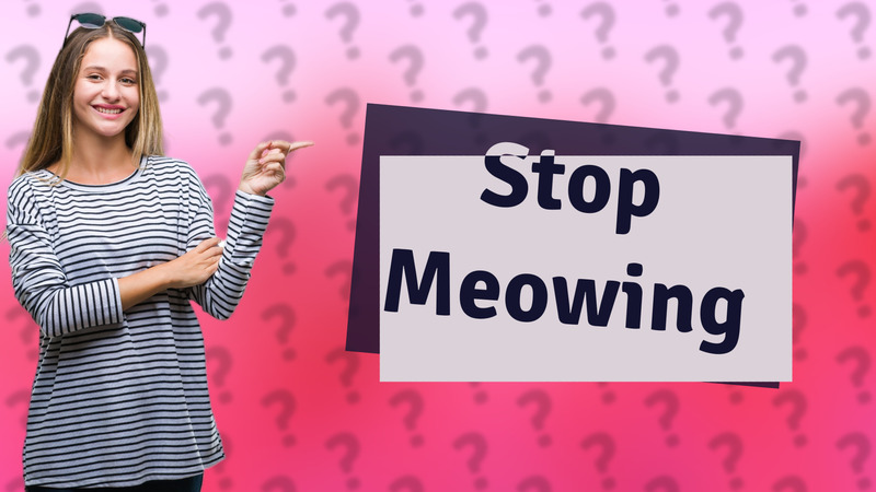 Stop Meowing