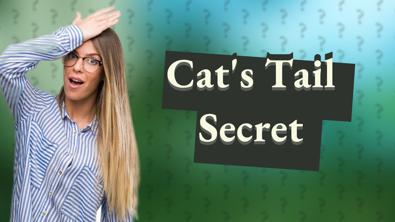 Cat's Tail Secret