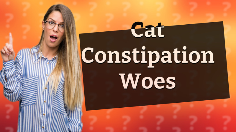 Cat Constipation Woes