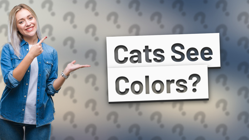 Cats See Colors?