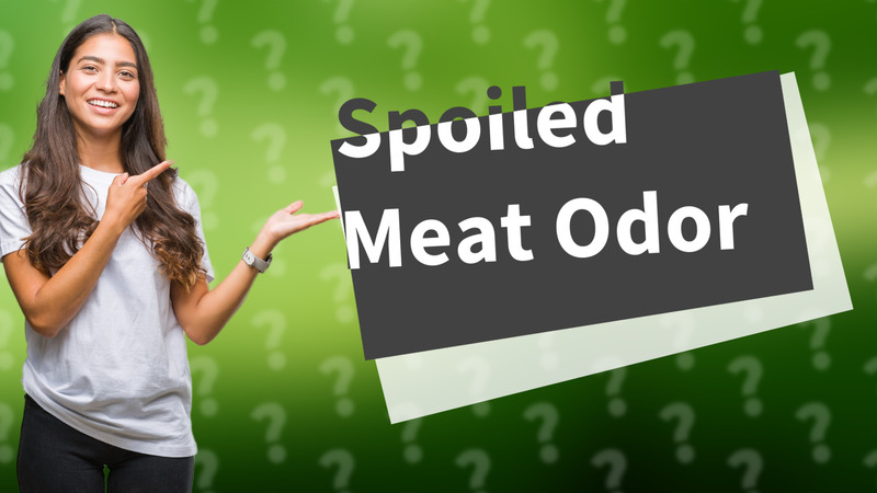 Spoiled Meat Odor