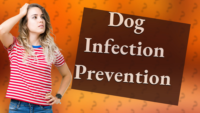 Dog Infection Prevention