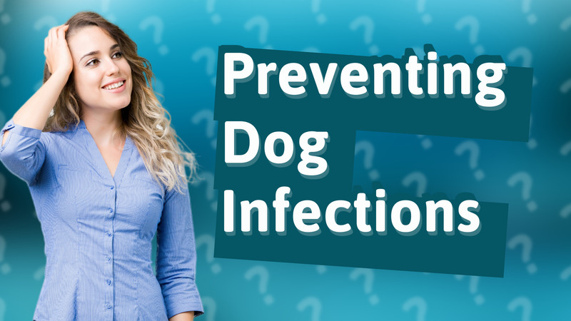 Preventing Dog Infections