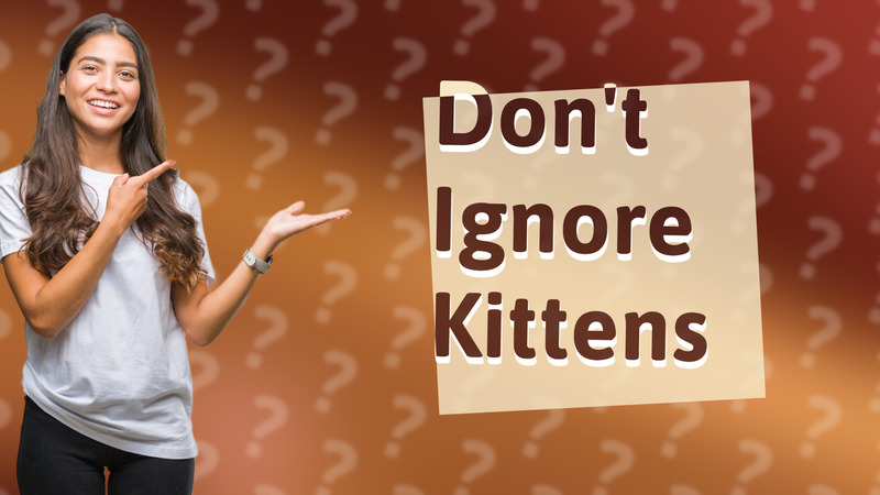Don't Ignore Kittens
