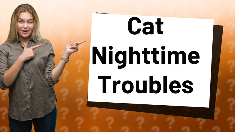 Cat Nighttime Troubles
